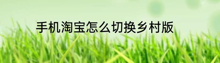 手机淘宝怎么切换乡村版