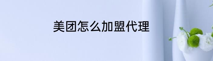 美团怎么加盟代理