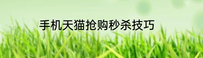 手机天猫抢购秒杀技巧