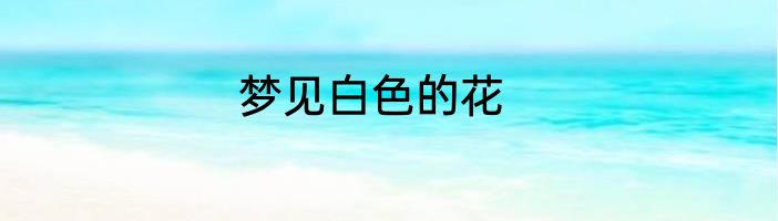 梦见白色的花