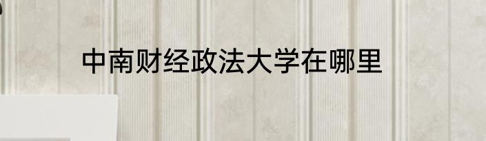 中南财经政法大学在哪里