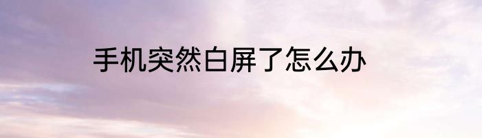 手机突然白屏了怎么办