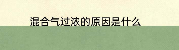 混合气过浓的原因是什么