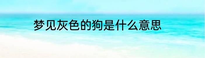 梦见灰色的狗是什么意思