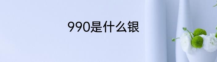 990是什么银