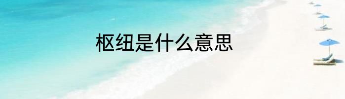 枢纽是什么意思