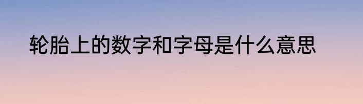 轮胎上的数字和字母是什么意思