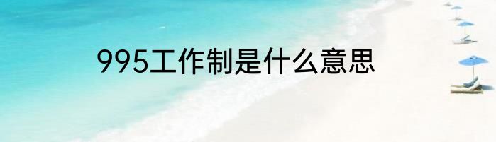 995工作制是什么意思