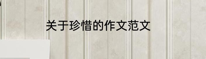 关于珍惜的作文范文