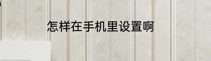 怎样在手机里设置啊