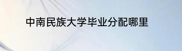 中南民族大学毕业分配哪里