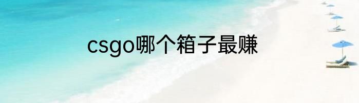 csgo哪个箱子最赚