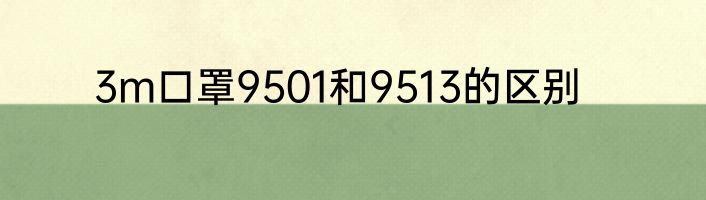 3m口罩9501和9513的区别