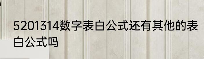 5201314数字表白公式还有其他的表白公式吗
