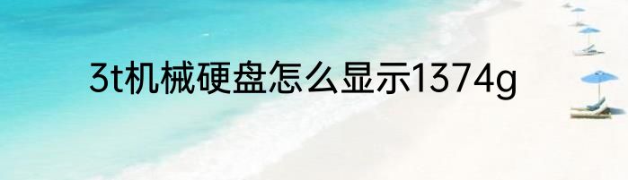 3t机械硬盘怎么显示1374g