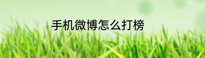 手机微博怎么打榜