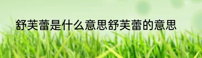 舒芙蕾是什么意思舒芙蕾的意思