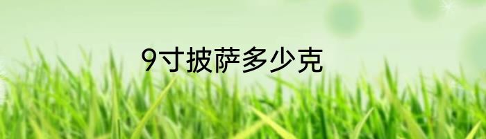 9寸披萨多少克