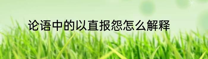 论语中的以直报怨怎么解释