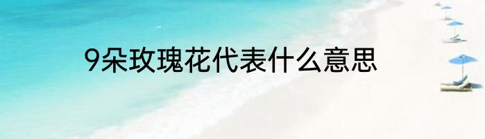 9朵玫瑰花代表什么意思