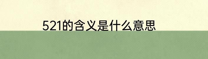 521的含义是什么意思