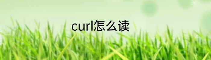 curl怎么读