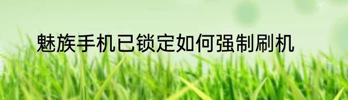 魅族手机已锁定如何强制刷机