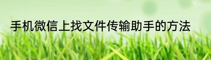 手机微信上找文件传输助手的方法