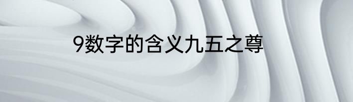 9数字的含义九五之尊