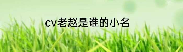 cv老赵是谁的小名