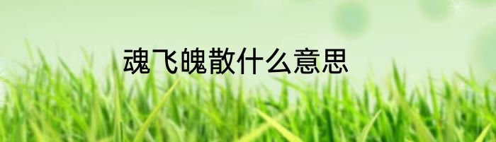 魂飞魄散什么意思