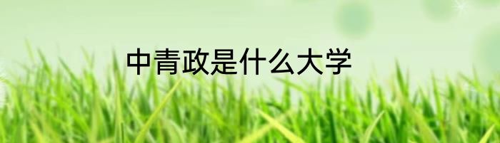 中青政是什么大学