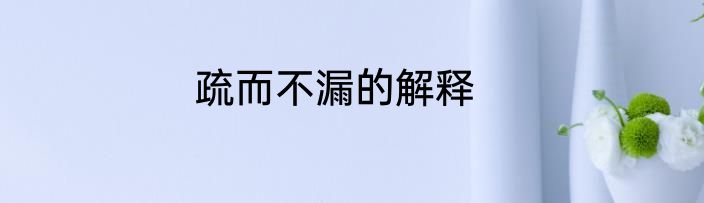 疏而不漏的解释