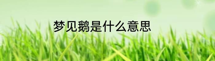 梦见鹅是什么意思