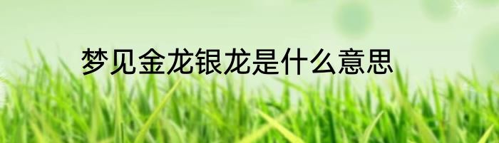 梦见金龙银龙是什么意思