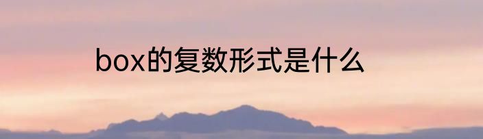 box的复数形式是什么