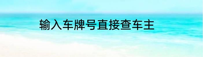输入车牌号直接查车主