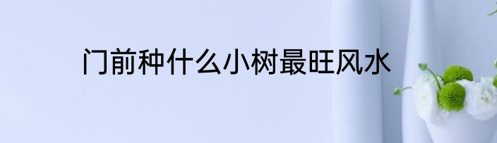 门前种什么小树最旺风水