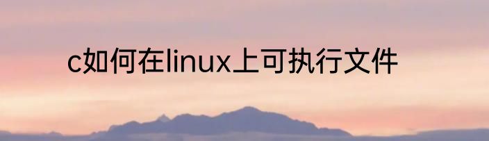 c如何在linux上可执行文件