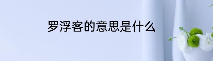 罗浮客的意思是什么