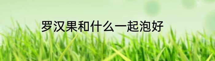 罗汉果和什么一起泡好