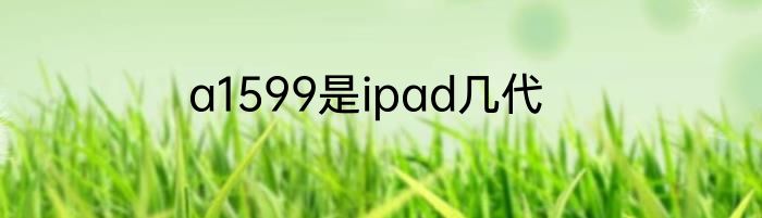 a1599是ipad几代