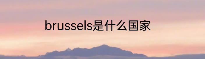 brussels是什么国家