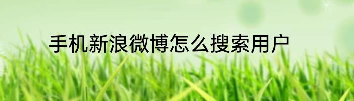 手机新浪微博怎么搜索用户