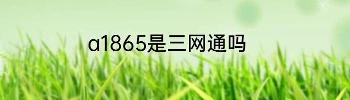 a1865是三网通吗