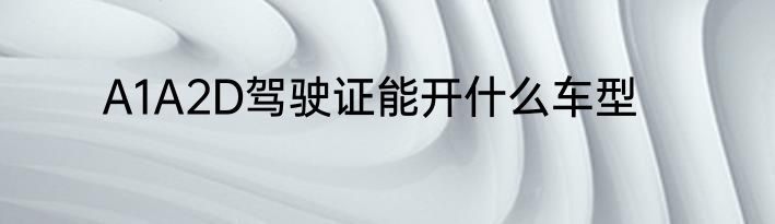 A1A2D驾驶证能开什么车型