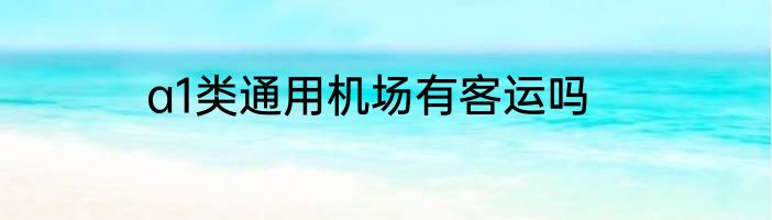a1类通用机场有客运吗
