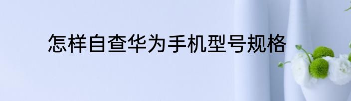 怎样自查华为手机型号规格