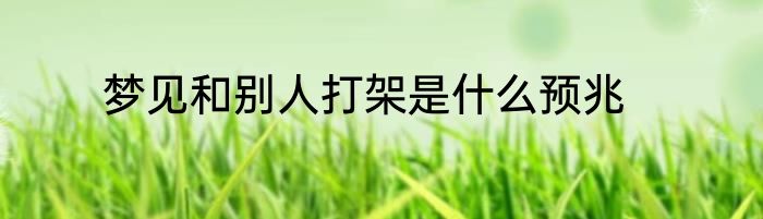 梦见和别人打架是什么预兆