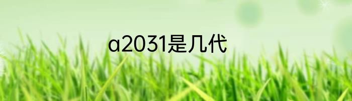 a2031是几代